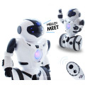 DWI Dowellin Electric Intelligent RC Battle Robots Remote Controlled Dancing Robot